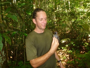 Jared Wolfe with Wing-banded Antbird in the central Amazon